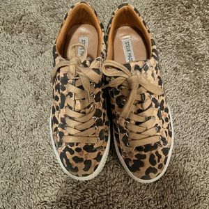 Leopard Platform Steve Madden Sneaker